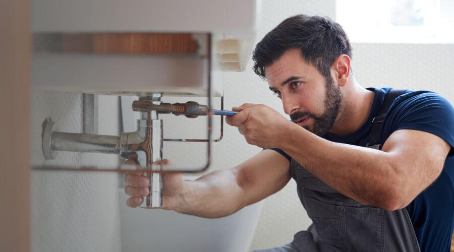 Trap Repair/Replacement in Crete, IL